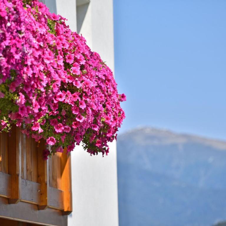 Apartment Dolomitenblick - Appartamento Deluxe con 2 Camere da Letto e Balcone - 9
