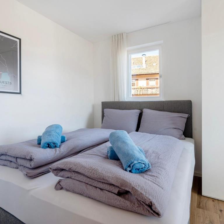 Apartment Mendelbahn - Appartamento Deluxe con 2 Camere da Letto e Vista Giardino - 16