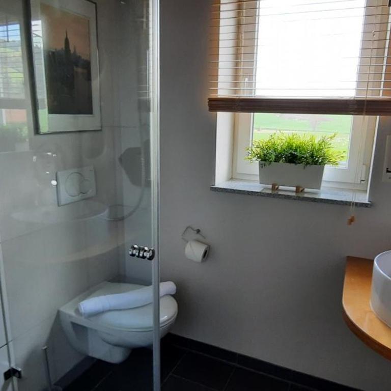 Ferienwohnung Panoramablick - Apartment mit 3 Schlafzimmern und Bergblick - 34