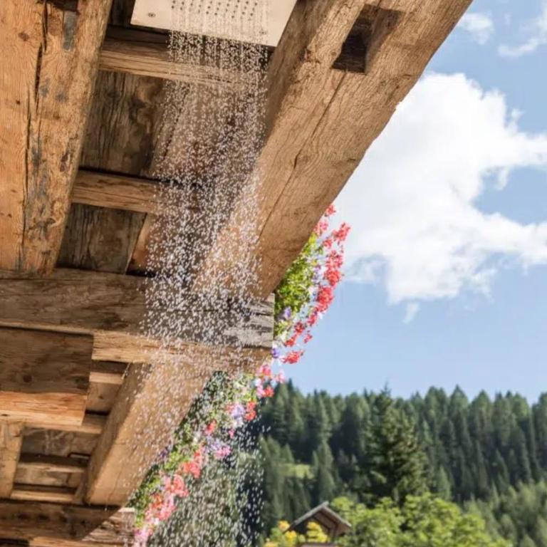 Dolomites Luxe Cesa Del Louf - Villa with Garden View - 27