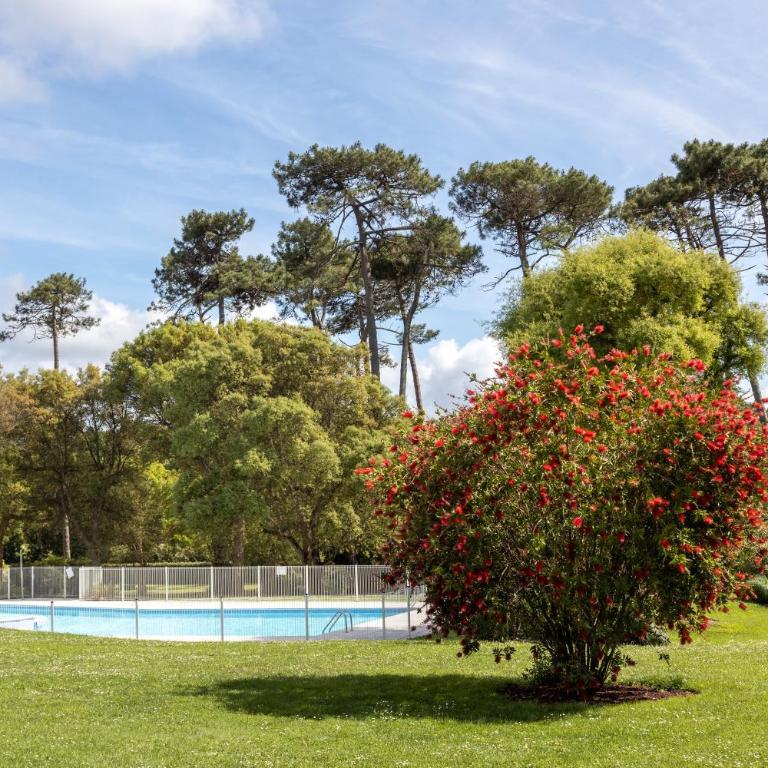 T3, piscine, jardin, proche golf - Appartement 1 Chambre - Vue sur Jardin - 4