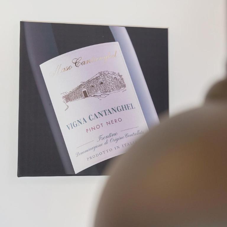 Maso Cantanghel wine retreat - Studio mit Bergblick - 11