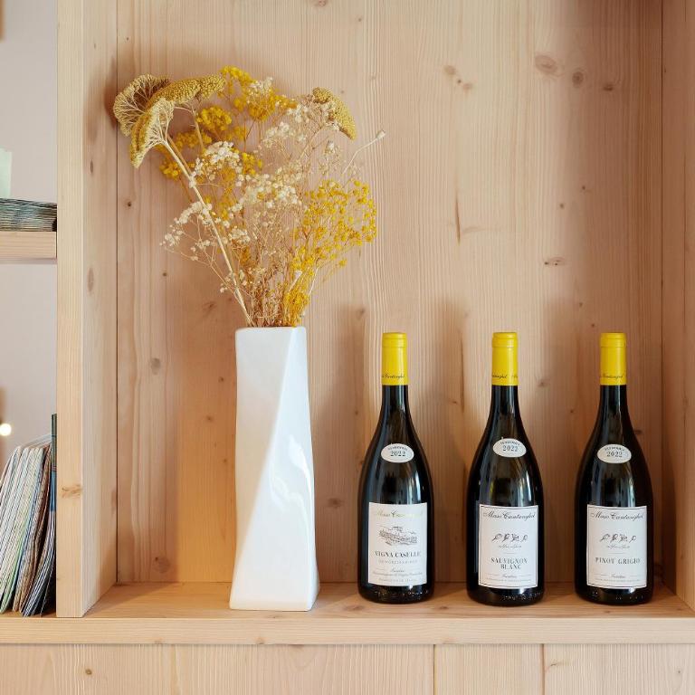 Maso Cantanghel wine retreat - Studio mit Bergblick - 14