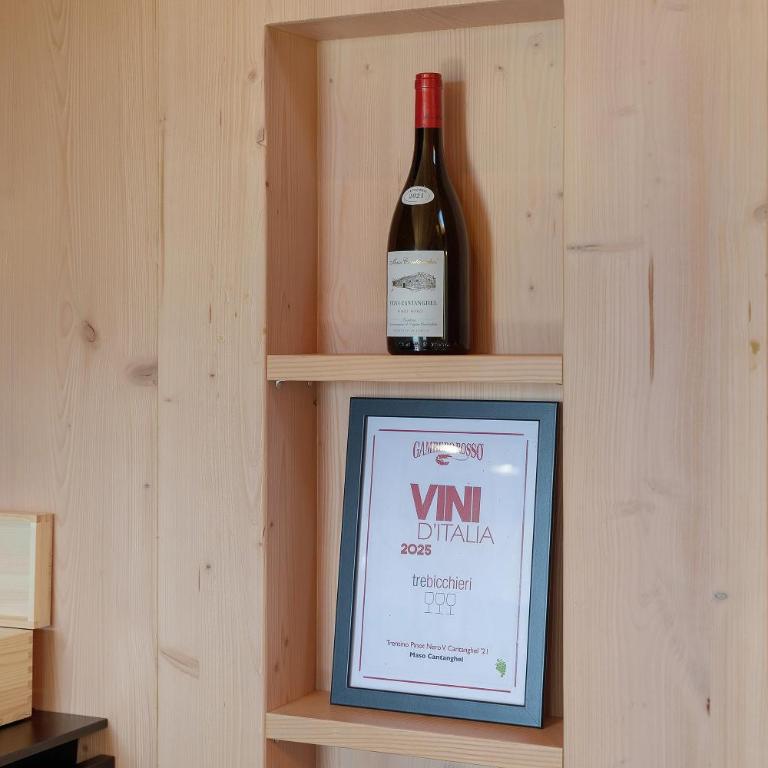 Maso Cantanghel wine retreat - Studio mit Bergblick - 12