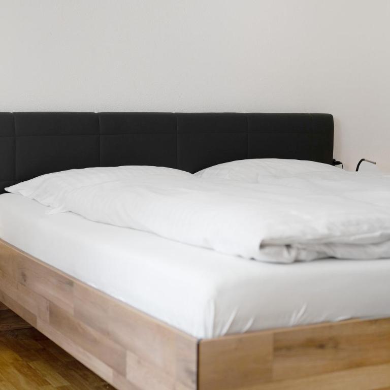 Haus Mader 3 - Appartamento con 1 Camera da Letto e Vista Giardino - 10