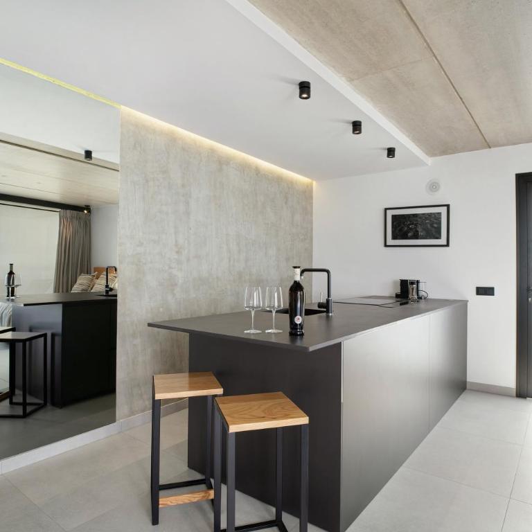 Suite Horizonte - Superior One-Bedroom Apartment with Balcony - 9