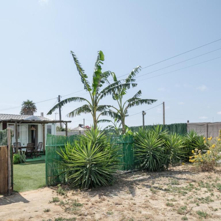 Villa Guerrero - Casa de 2 dormitorios - 25
