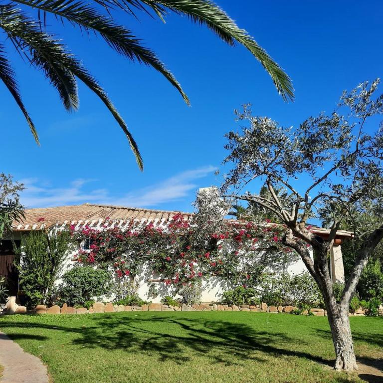 Villetta 7 - Villa con Vista Giardino - 3