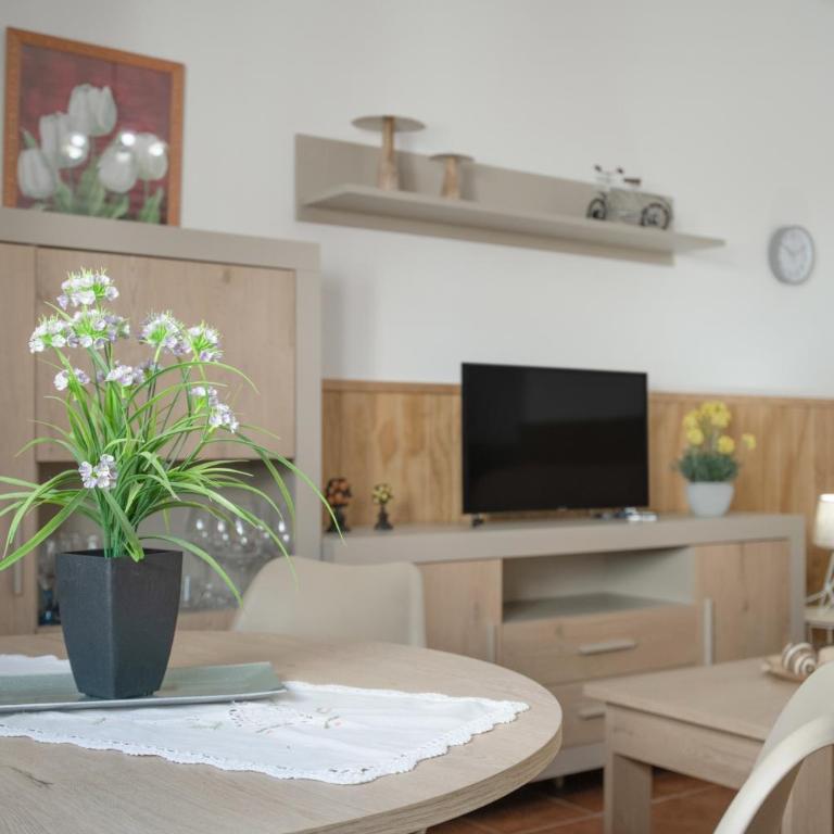 Apartamento Rocio - solo familias - Apartamento con terraza - 17