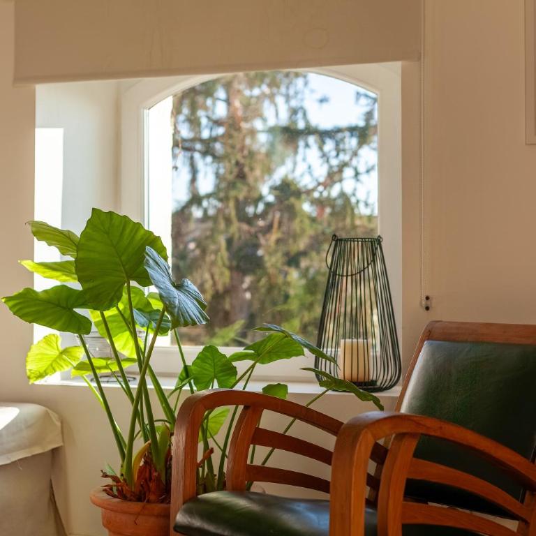 Gîte Durance Mallemort - Appartement Supérieur - Vue sur Ville - 6