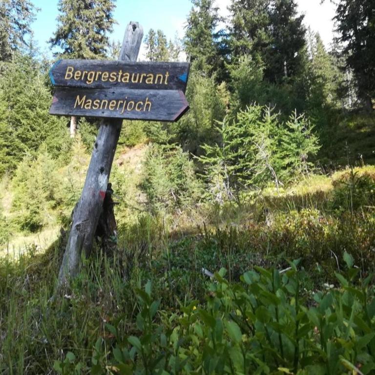 Haus Sabrina Masnerjoch - Studio mit Bergblick - 10
