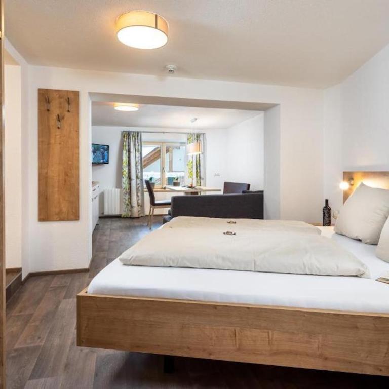 Haus Sabrina Masnerjoch - Studio mit Bergblick - 6