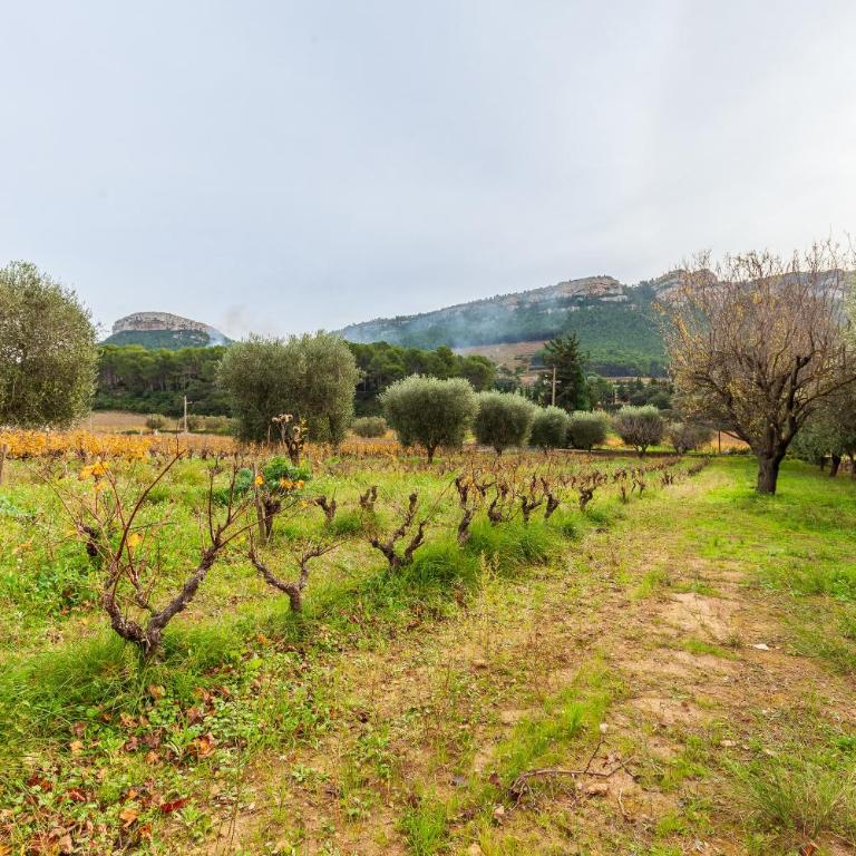 Lou Jas - Cassis - Maison 2 Chambres - 20
