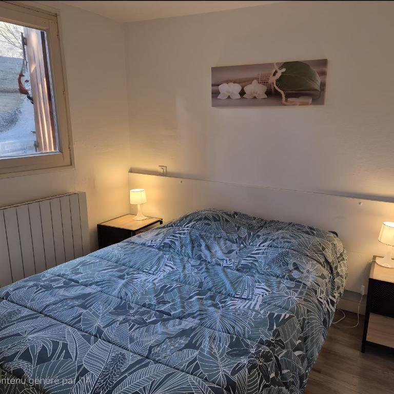 Appartement Cosy À Font Romeu - Appartement 1 Chambre Supérieur avec Balcon - 8