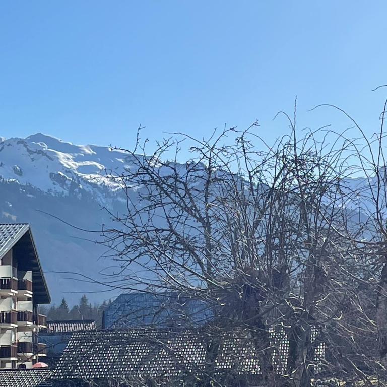 Appartement Edelweiss - 7 personnes - Apartamento Deluxe de 2 dormitorios con vistas al jardín - 24