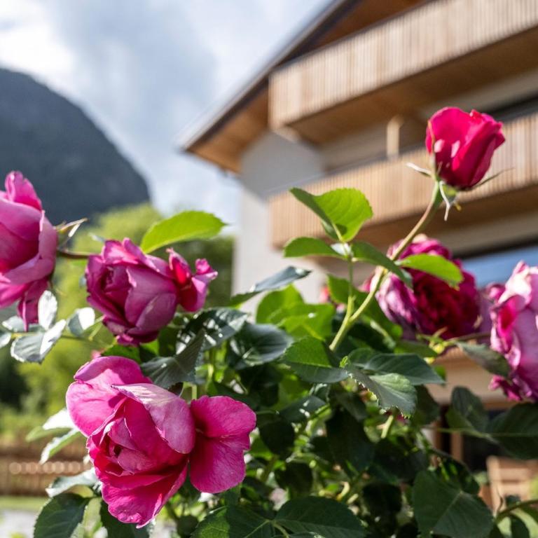 Oberfallerhof Apartment Inni - Appartamento Superior con 1 Camera da Letto e Balcone - 15