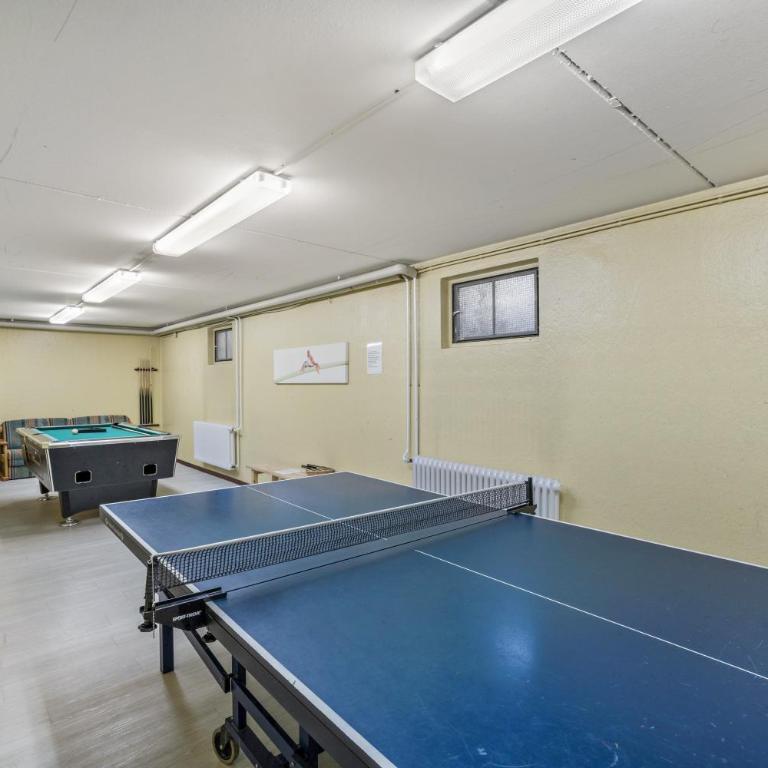 Fewo Bergblick, Sauna, Parkplatz - Superior Apartment mit 1 Schlafzimmer und Balkon - 14