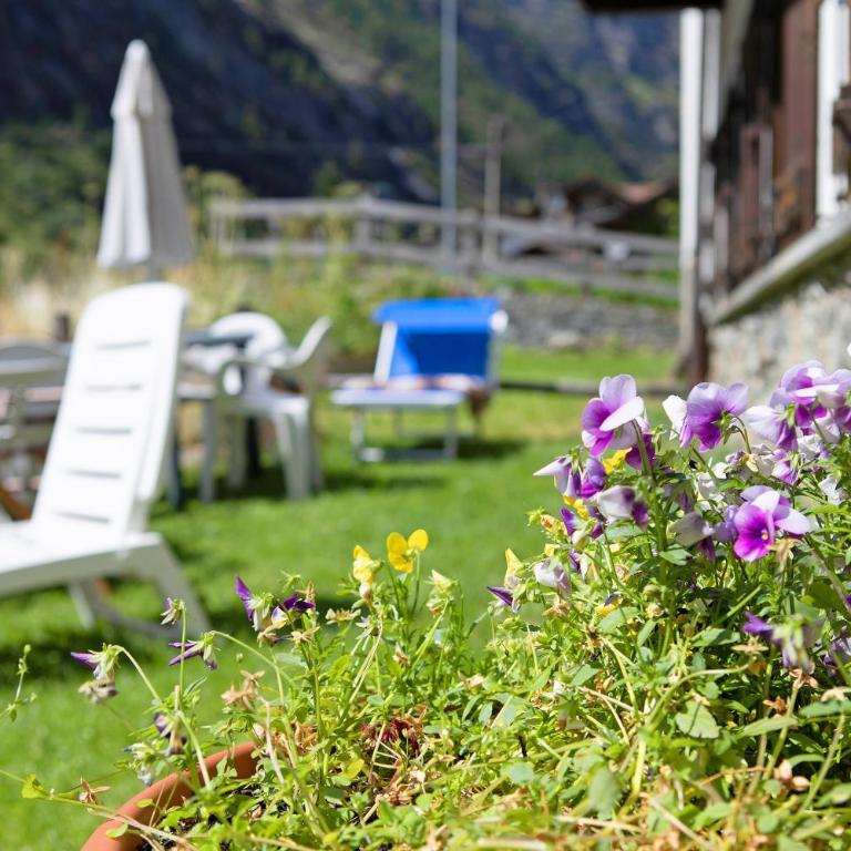 Lo Peiglo Valgrisenche - Appartamento con 1 Camera da Letto e Vista Giardino - 17