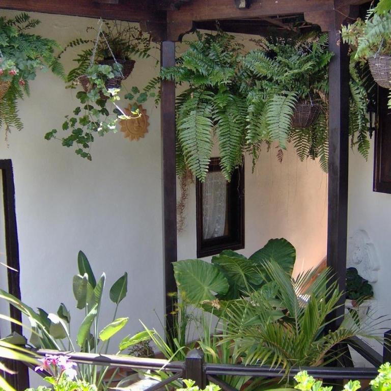 Aptos Monasterio de San Antonio 4 - Apartamento Superior de 1 dormitorio con balcón - 31