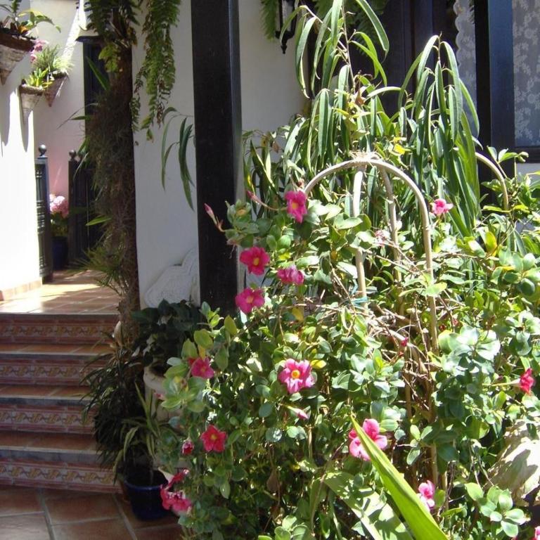 Aptos Monasterio de San Antonio 4 - Apartamento Superior de 1 dormitorio con balcón - 17