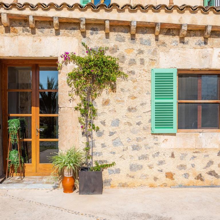 Son Frare - Villa - 19