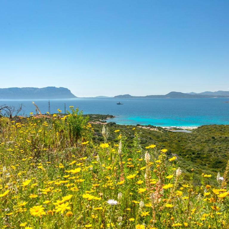 Golfo Aranci - Cala Delfino - Appartamento Deluxe con 2 Camere da Letto e Vista Oceano - 24
