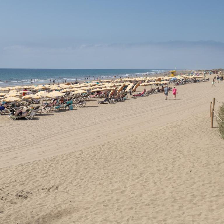 Lirio Blanco de las Dunas Canarias - Apartamento Superior de 1 dormitorio con balcón - 24