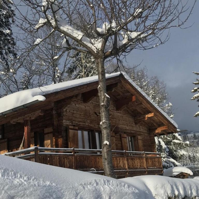 Mayen de l'Art d Vivre - Chalet 3 Chambres - 32