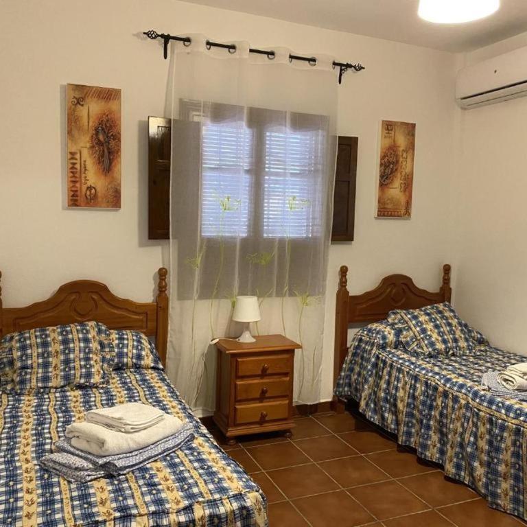 Finca olivar el pino - Casa - 11