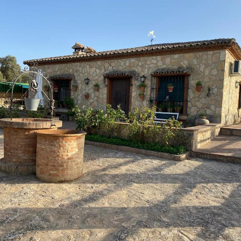 Finca olivar el pino - Casa - 30