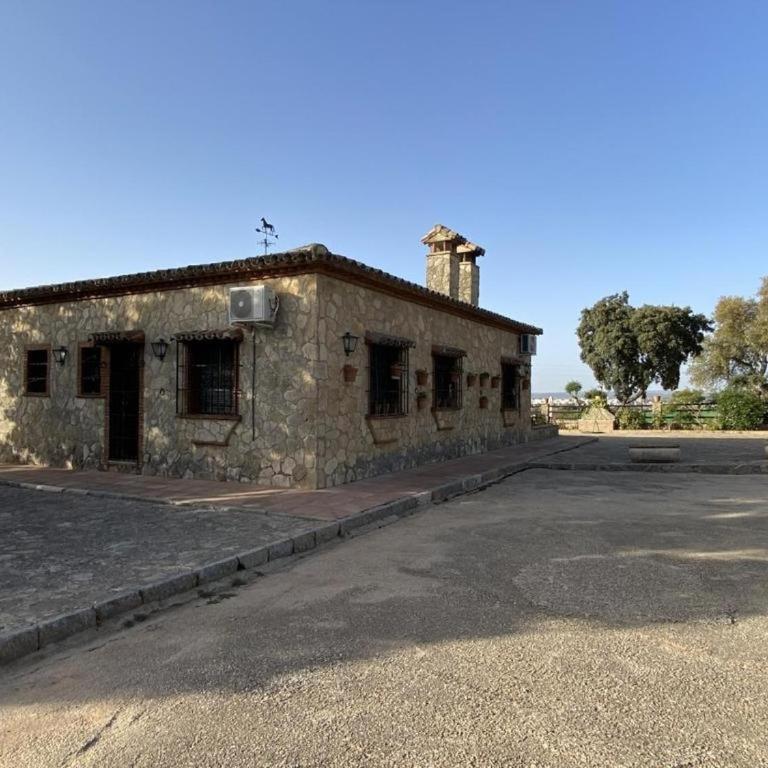 Finca olivar el pino - Casa - 16