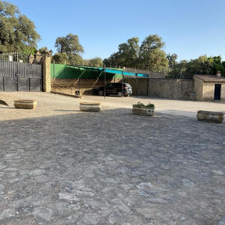 Finca olivar el pino - Casa - 27