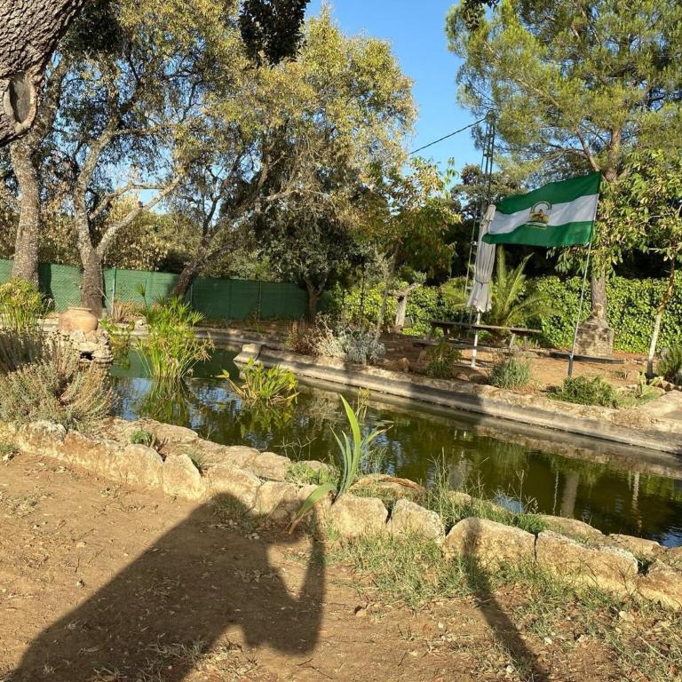 Finca olivar el pino - Casa - 26