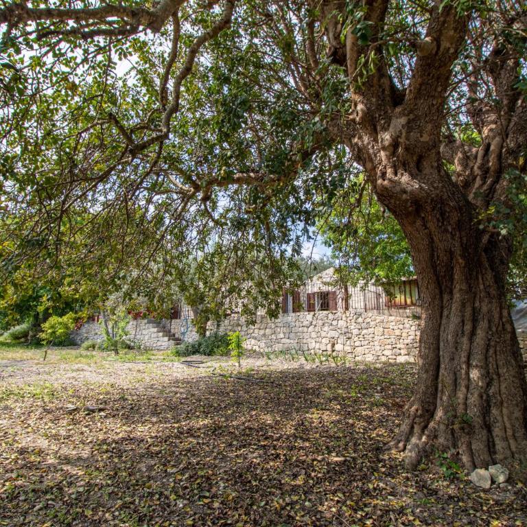 Casa Il Carrubbo - Casa con 2 Camere da Letto - 24