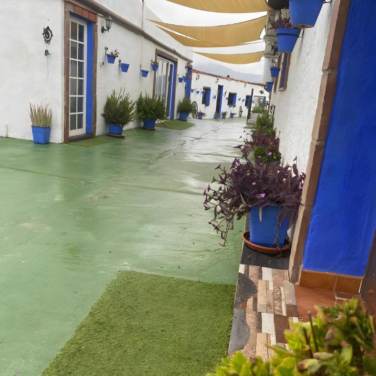 Cortijo rural los Erales - Superior Apartment with Balcony - 34