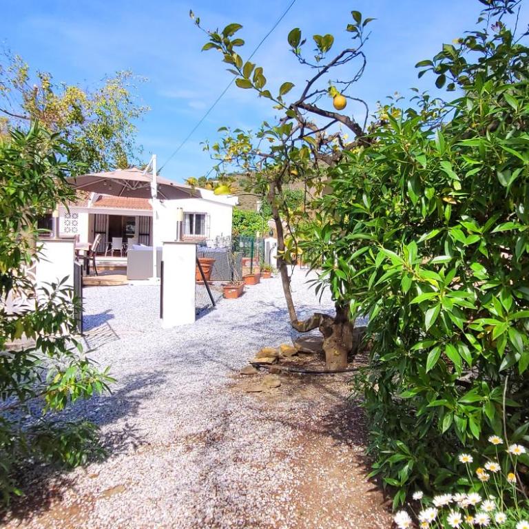 Casa Espina - Villa with Garden View - 20
