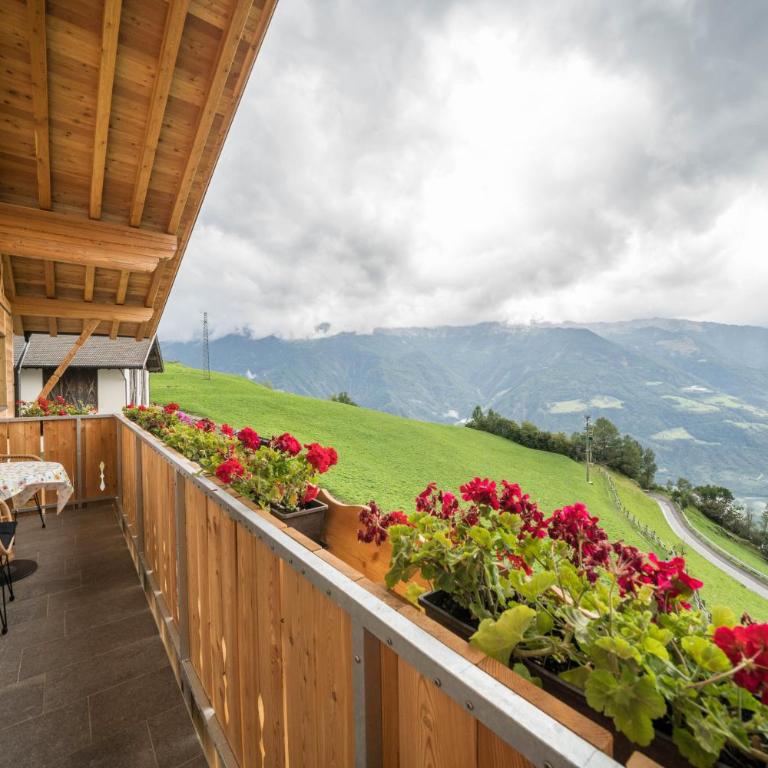 Waldes Duft Apartment - Patleidhof - Appartamento Deluxe con 2 Camere da Letto e Vista Giardino - 7
