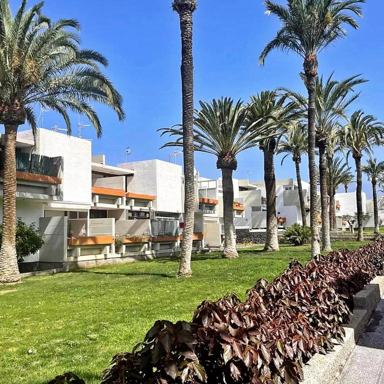 Residencial Primavera - Casa de 2 dormitorios - 28
