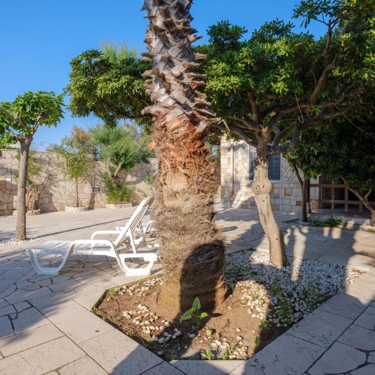 Villa Assunta - Villa con Vista Giardino - 20