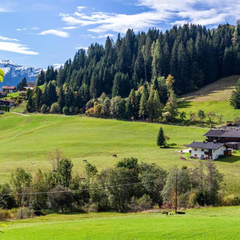 Kastnhäusl Wildschönau Urige Hütte - Haus mit 2 Schlafzimmern - 29