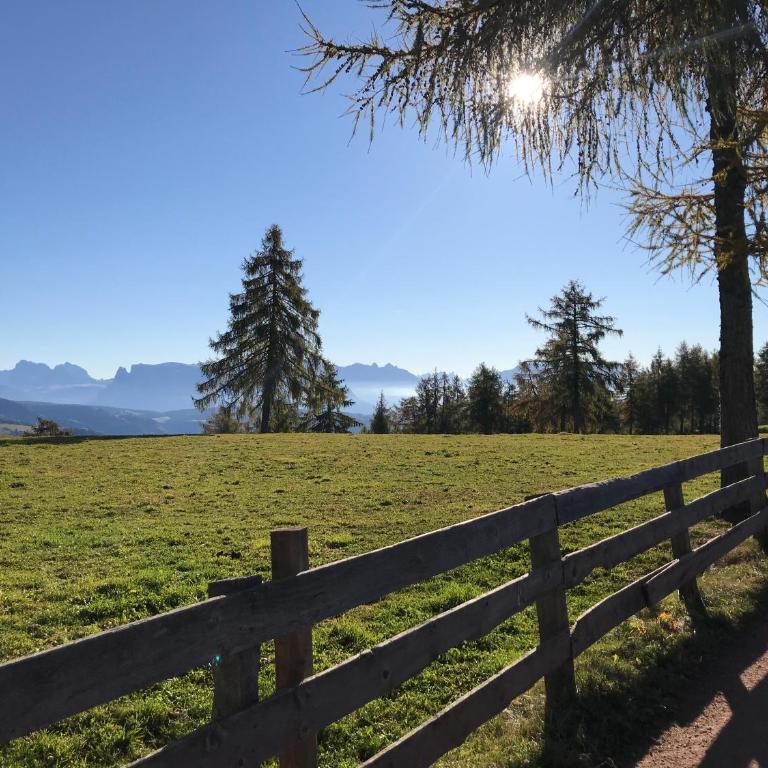 Beckenbinder Apartement Rosengarten - Apartamento de 1 dormitorio con jardín - 27