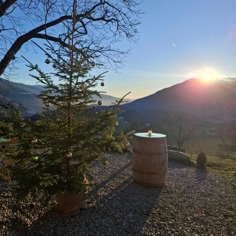 Herzleierhof Rodeneck - Apartment mit 1 Schlafzimmer und Gartenblick - 20