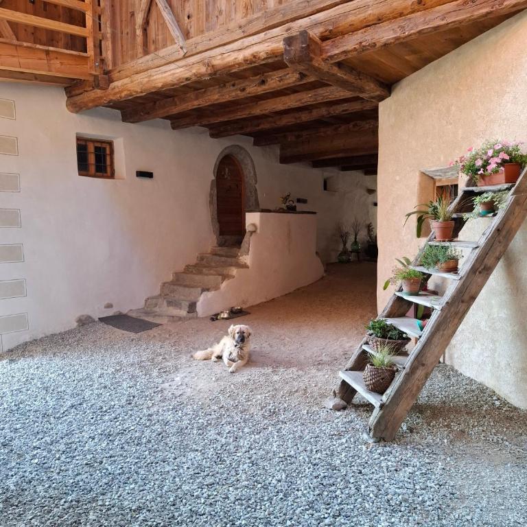 Herzleierhof Rodeneck - Apartment mit 1 Schlafzimmer und Gartenblick - 44