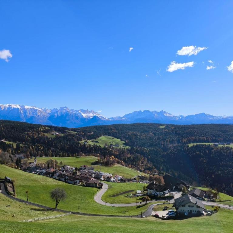 Herzleierhof Rodeneck - Apartment mit 1 Schlafzimmer und Gartenblick - 27