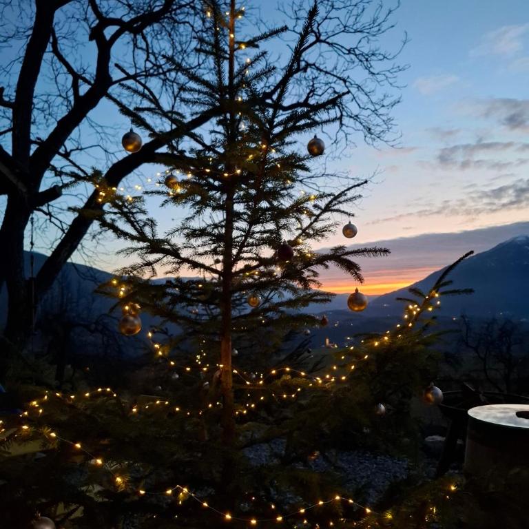 Herzleierhof Rodeneck - Apartment mit 1 Schlafzimmer und Gartenblick - 19