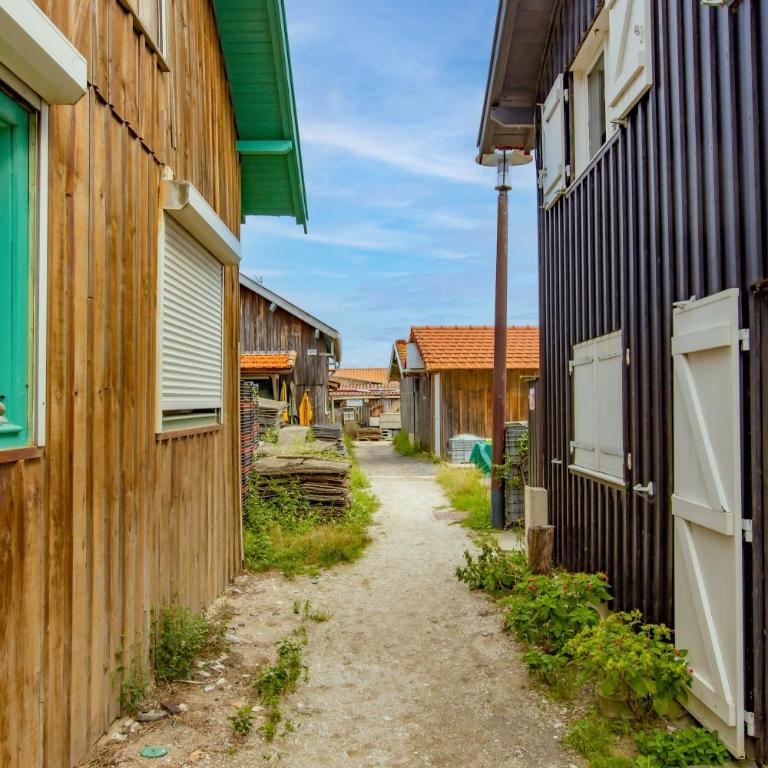 Villa Cap-Ferret, vue bassin-pinède - Villa - Vue sur Jardin - 35