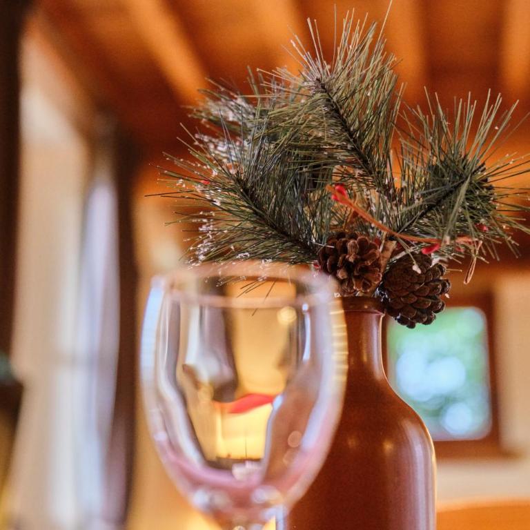 Chalet il fera beau demain - Two-Bedroom Deluxe Apartment with Garden View - 6