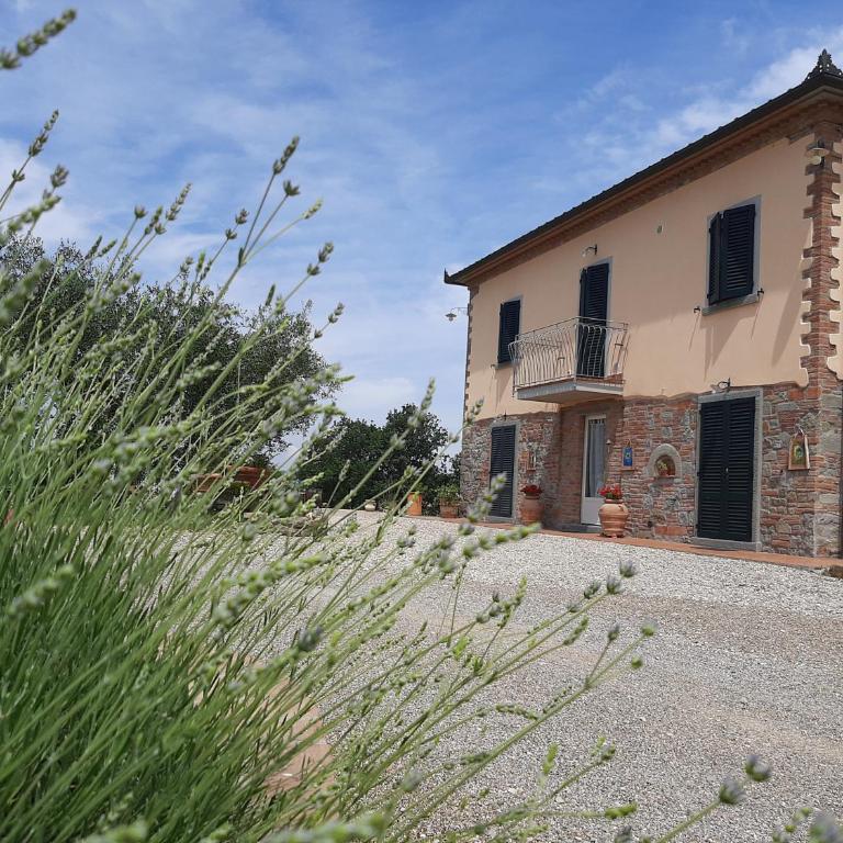 Casa del Nonno Bingheri - L'Olivo - Appartamento Superior con 1 Camera da Letto e Balcone - 24