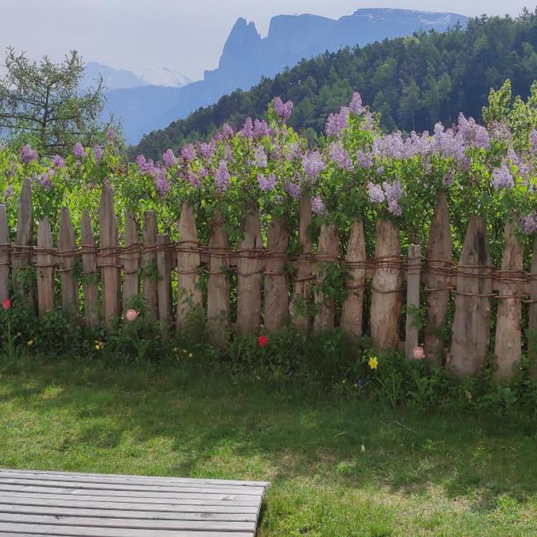Aschnerhof Auf´m Egg - Appartamento con 1 Camera da Letto e Vista Giardino - 22