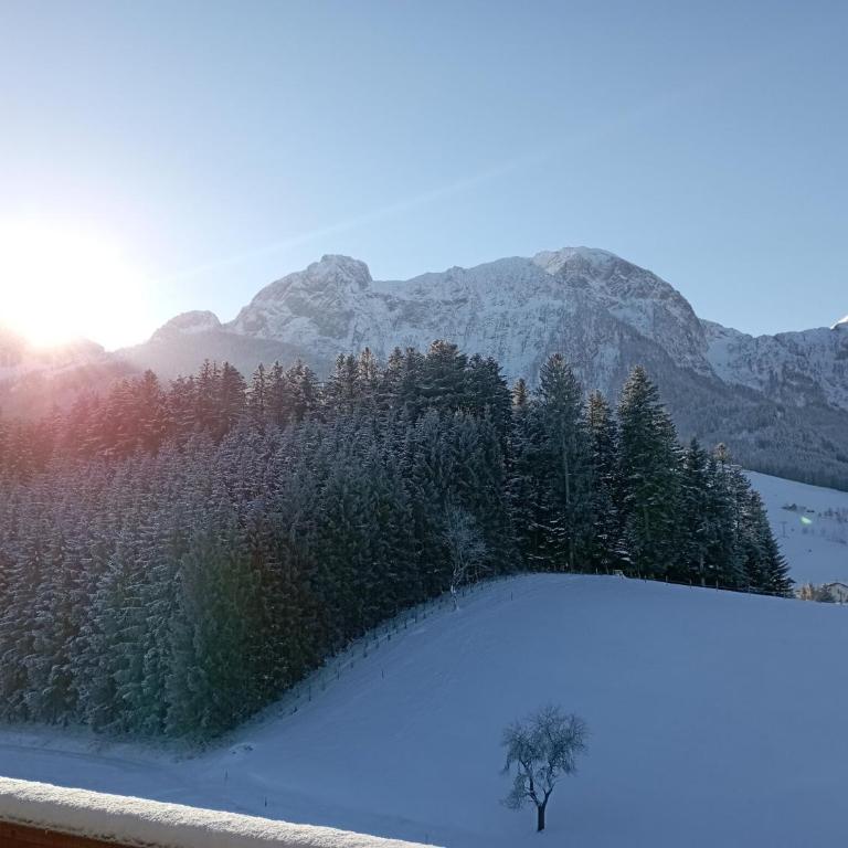 Ferienwohnung Lienbacher - Deluxe-Apartment mit 2 Schlafzimmern und Gartenblick - 18